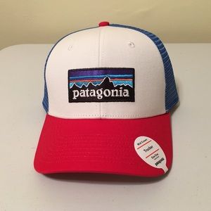 Patagonia P-6 Logo Trucker Hat
